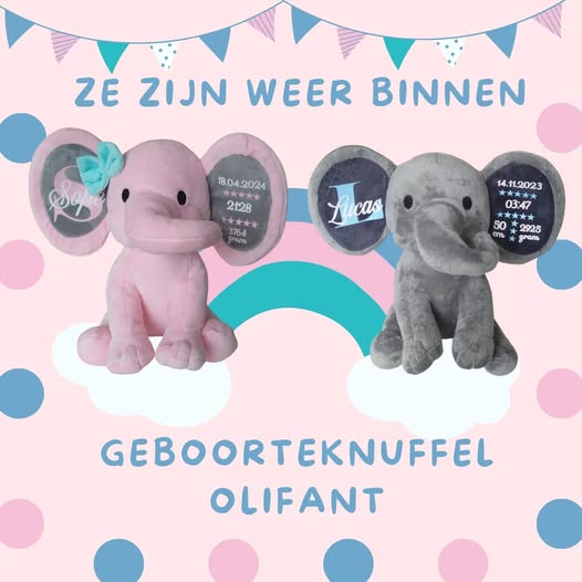 Ze zijn er weer! 🐘✨