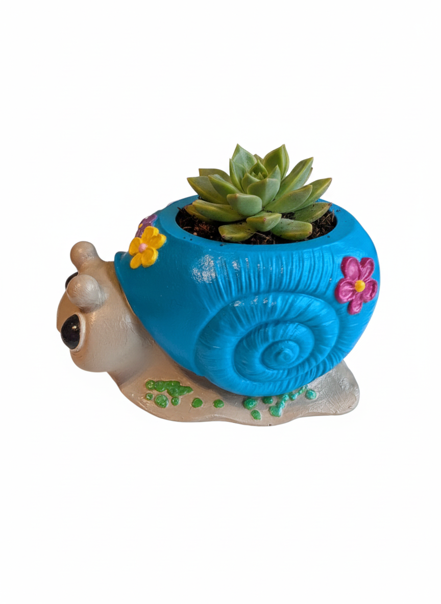 Handgemaakte Slak Bloempot - Unieke Bloempot voor vetplantjes met Vrolijke Bloemen - 10 cm
